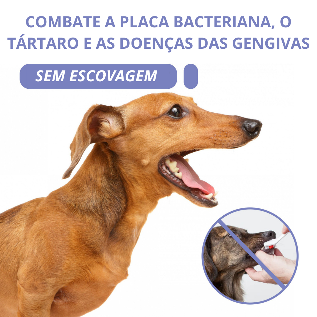 SPRAY DE LIMPEZA DENTÁRIA PARA ANIMAIS - DOGGY™