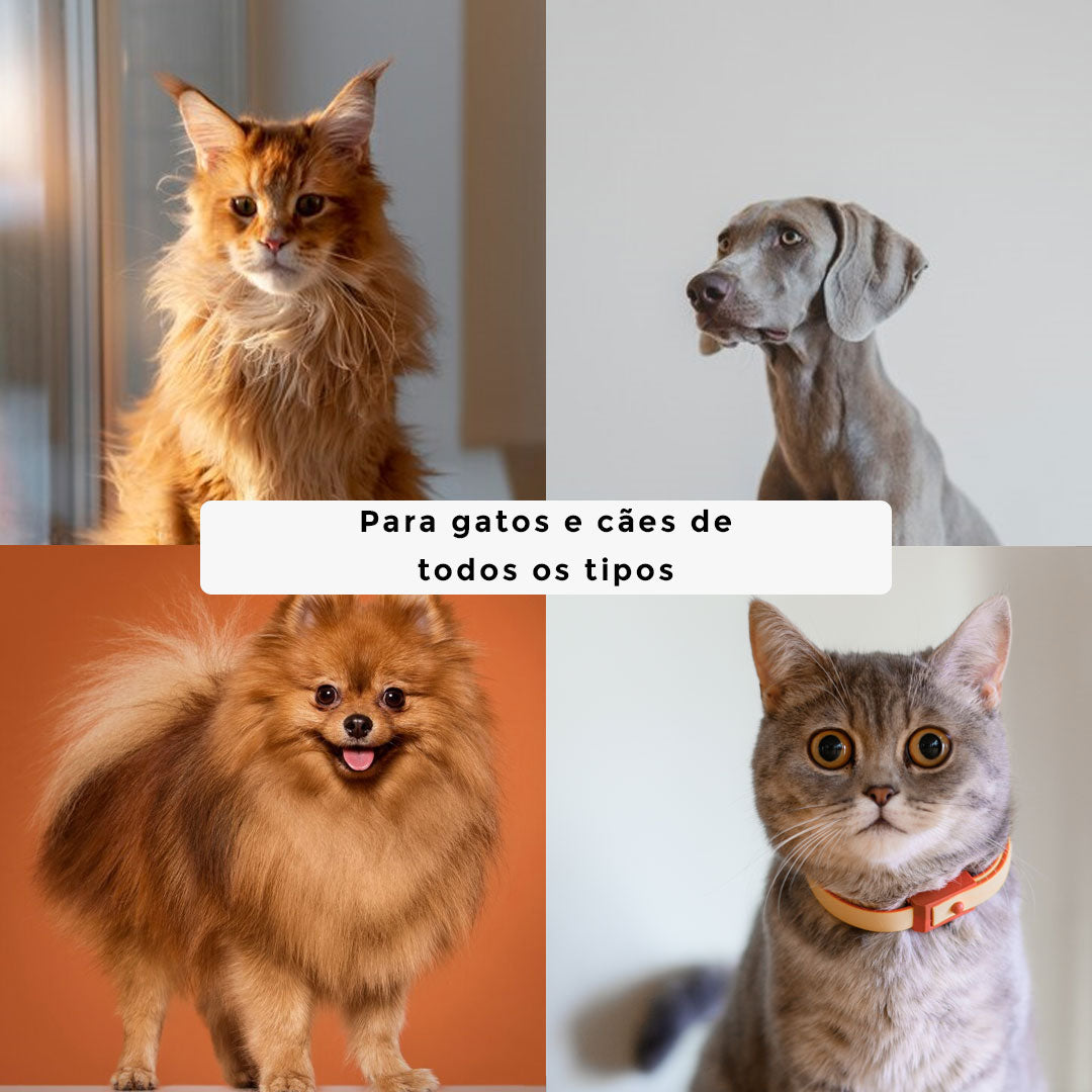 Luvas de Banho a Seco CleanPet™