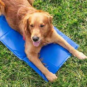 Tapete Refrigerante para Animais de Estimaçao - FRESHPET™️