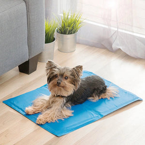 Tapete Refrigerante para Animais de Estimaçao - FRESHPET™️