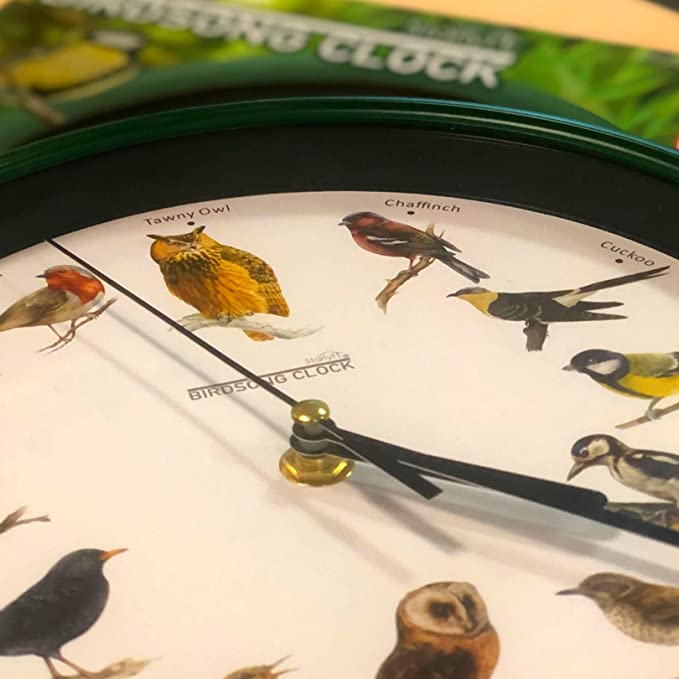 RELÓGIO DE PAREDE COM CANÇÕES DE PÁSSAROS REAIS - BIRDALARM™