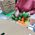 BIONATURE™ - Pacote De Fruta Biológica Redutor De Toxinas 7Kg