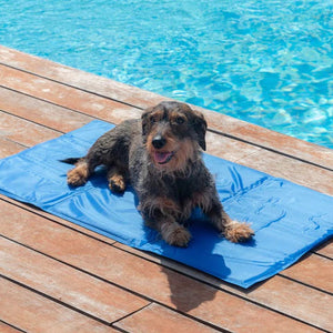 Tapete Refrigerante para Animais de Estimaçao - FRESHPET™️
