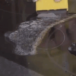 RASPADOR DE VITROCERÂMICA - VITROCLEAN™